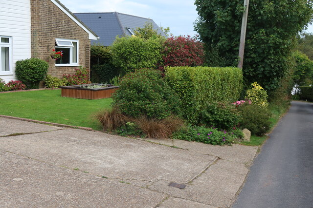 Front garden in New Cut, Westfield