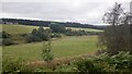 Beside the Ballincomb Burn