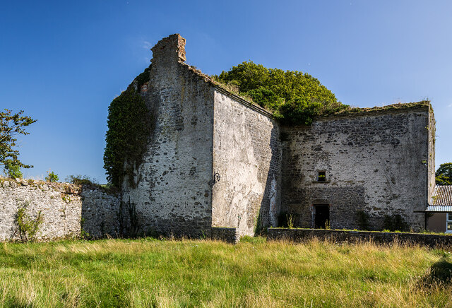Ireland in Ruins Pt III: Littlefield House, Co. Tipperary (3)