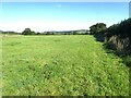 Path to Sandbrook Farm