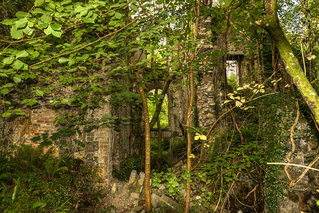 Ireland in Ruins Pt III: Paradise House,... © Mike Searle cc-by-sa/2.0 ...