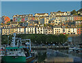 Brixham : housing terraces