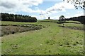 Dried up pond