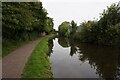 Stourbridge Canal towards Brettell Lane Bridge