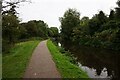 Stourbridge Canal towards Farmer