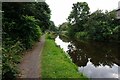 Stourbridge Canal towards Farmer