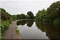 Stourbridge Canal towards Leys Road Bridge