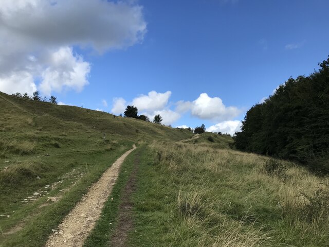 Edge of Cleve Common © don cload :: Geograph Britain and Ireland