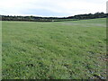 Farmland near Shirenewton