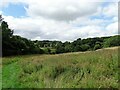 Picnic site at Castleside