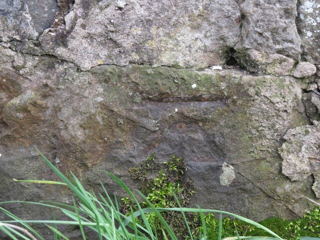 Benchmark on wall, Wormit Hill, Woodhaven