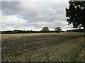 Stubble field near Clay Farm