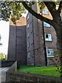 Flats on Osbaldeston Road, Stamford Hill