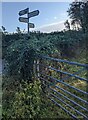 Signpost at crossroads in Penpedairheol, Monmouthshire