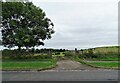 Field gate off Pont Lane