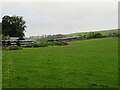 Silage bales at Dunnabie