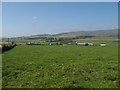 Grazing land near to Newmains