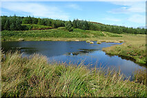 NR8556 : Lochan beside the Kintyre Way by Anne Burgess