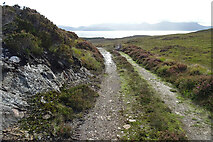 NR8456 : Kintyre Way by Anne Burgess