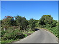 Crockenhill Lane, near Eynsford