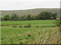 Farmland near Dunnabie