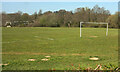 Playing field, Dartington