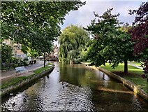 SP1620 : The River Windrush at Bourton-on-the-Water by Mat Fascione