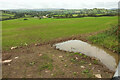 Field near Broadhempston