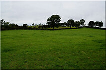 H5064 : Green fields, Moylagh by Kenneth  Allen