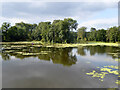 Top pond for Fen Place Mill