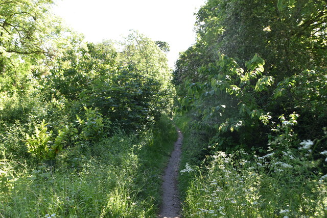 Icknield Way Path © N Chadwick cc-by-sa/2.0 :: Geograph Britain and Ireland