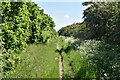 Icknield Way Path