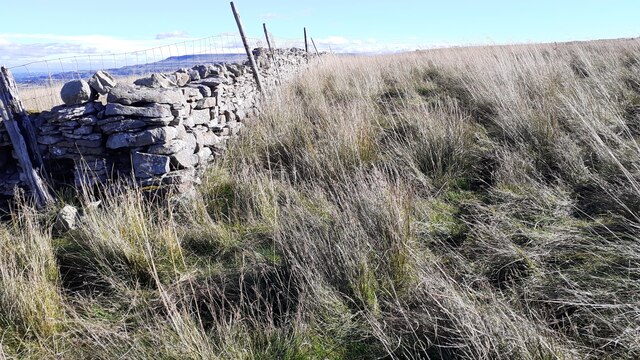 Corner of dry stone wall on Thornton Rust Moor