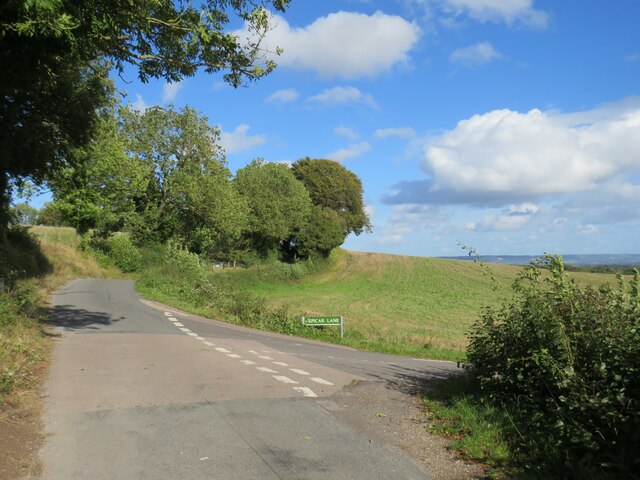 Pilgrims' Way, near Wrotham