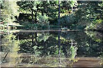 NT2840 : Reflections in the Glentress Ponds by Jim Barton