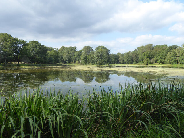 Top pond for Fen Place Mill