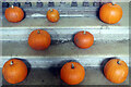 SP5750 : Pumpkins inside Canons Ashby Priory by Stephen McKay