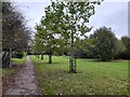 Sunnyhill Park, Hendon