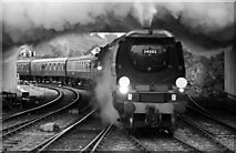 SD8010 : East Lancashire Railway - City of Wells coming under Jubilee Way by Chris Allen