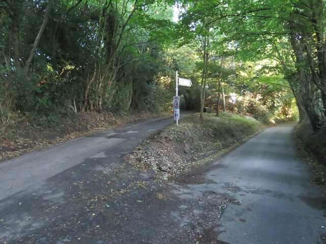 Lanes diverging near Meopham