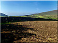 Well maintained single thickness dry stone wall between Island Road and the White Water River