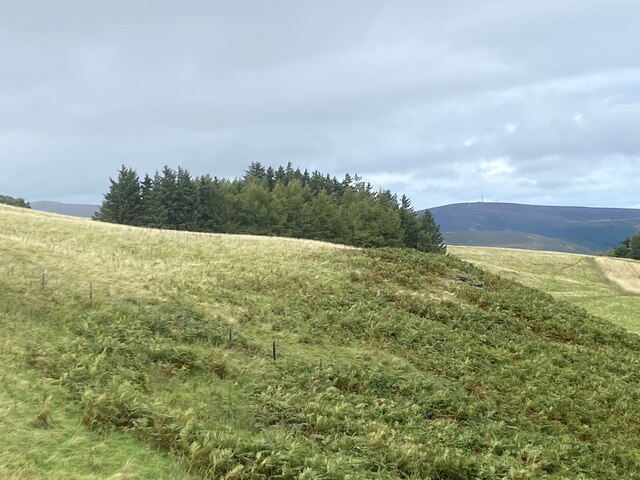 Moorland south of the Dee Valley
