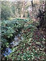 Drainage Channel, Lower Moss Wood