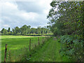 Public footpath 82EG towards Fen Place Mill