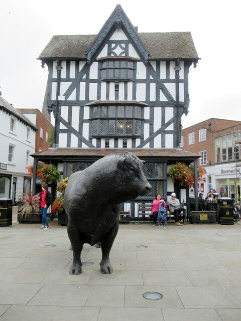 The Hereford Bull sculpture, High Town Hereford