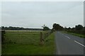 Sheep pasture east of Brafferton