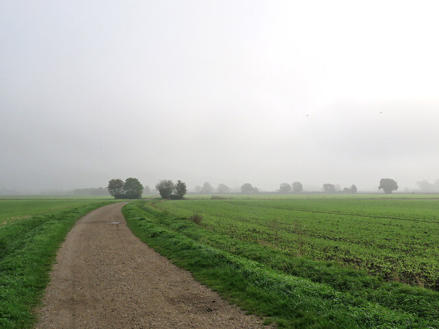 Horningsea: mist in The Fens