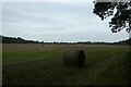 Field of bales near Low Wood