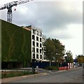 Student flats under construction, De Montfort Way, Canley