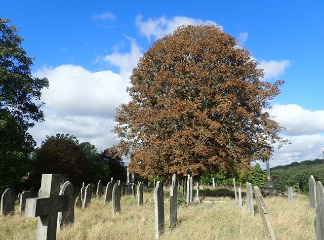 Early signs of autumn in Plumstead Cemetery